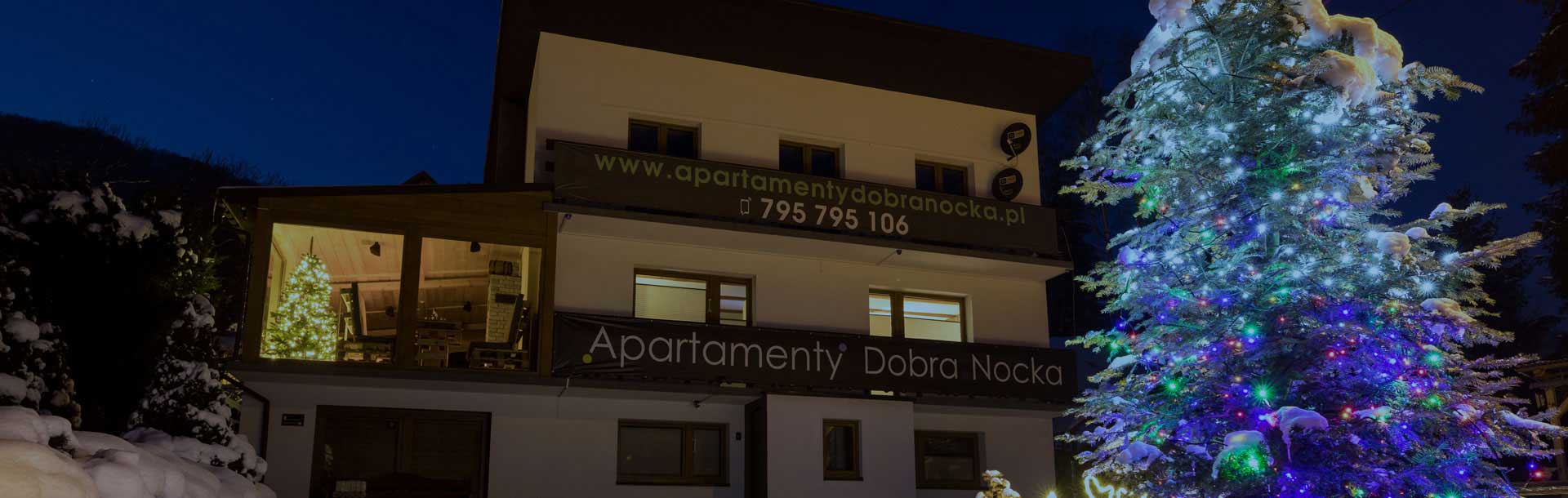 Apartamenty Dobra.Nocka w zimowej scenerii